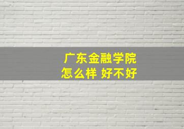 广东金融学院怎么样 好不好